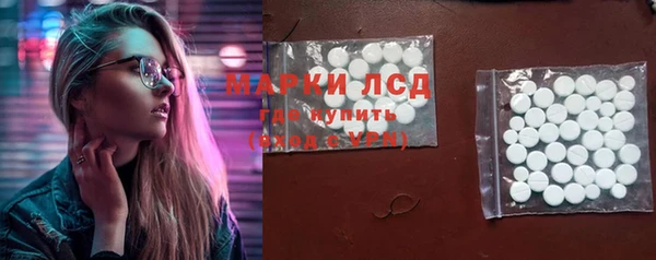 ГАЛЛЮЦИНОГЕННЫЕ ГРИБЫ Беломорск
