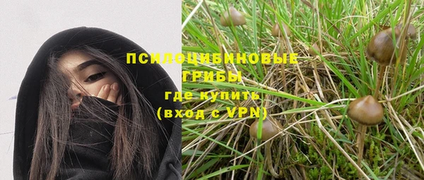 ALPHA-PVP Белокуриха