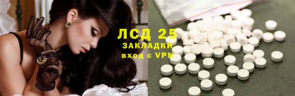 ГАЛЛЮЦИНОГЕННЫЕ ГРИБЫ Беломорск