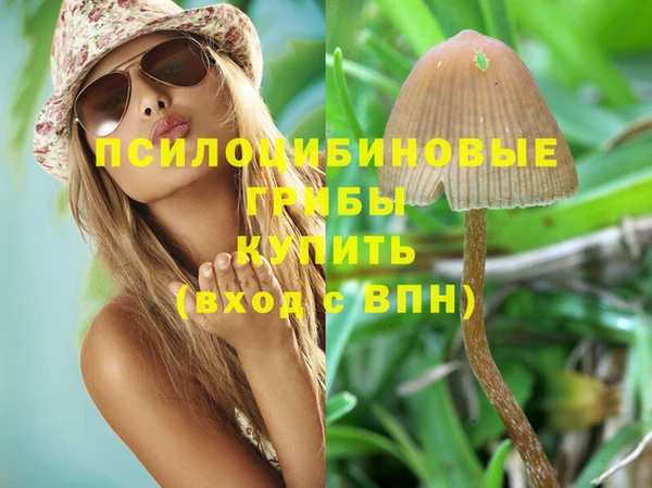ГАЛЛЮЦИНОГЕННЫЕ ГРИБЫ Беломорск