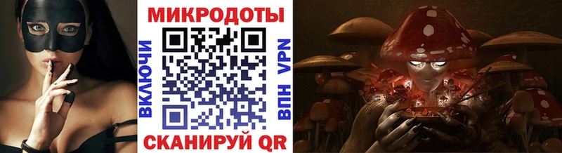 Псилоцибиновые грибы Psilocybe  закладки  Гудермес 