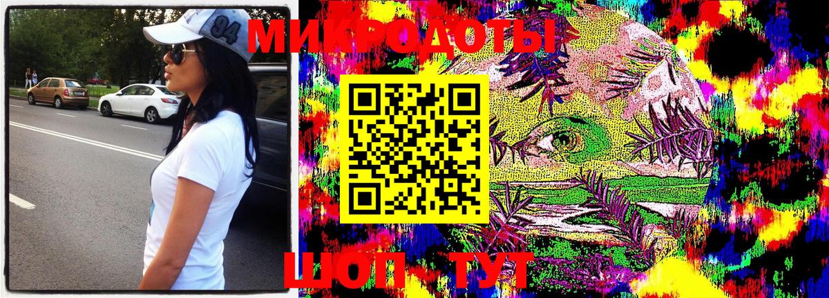 Галлюциногенные грибы Psilocybine cubensis  Вход с VPN  Гудермес 