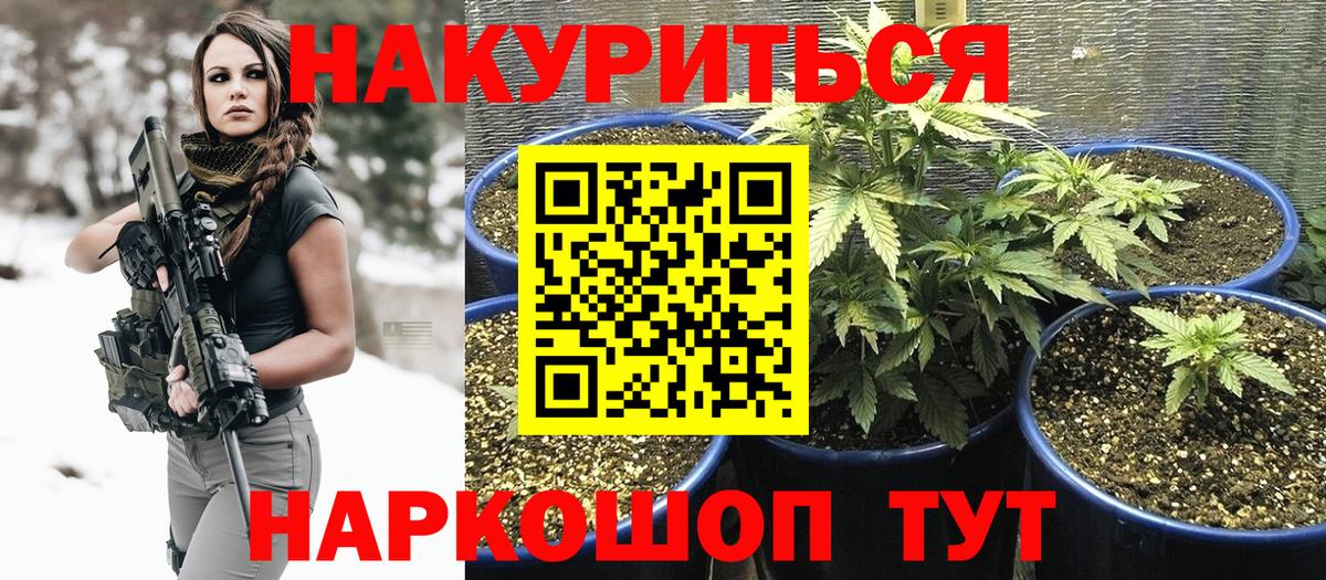 Шишки марихуана тримм  Марихуана тримм  Гудермес  Марихуана VHQ  Вход с VPN 