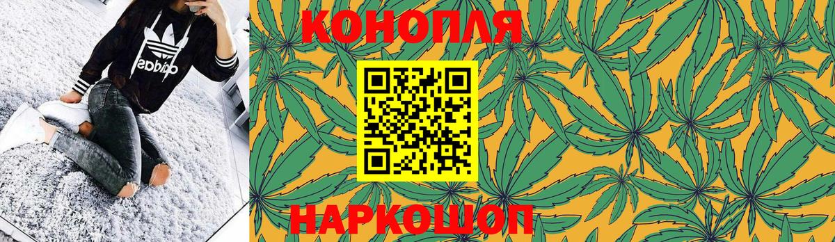 Бошки Шишки гибрид Гудермес